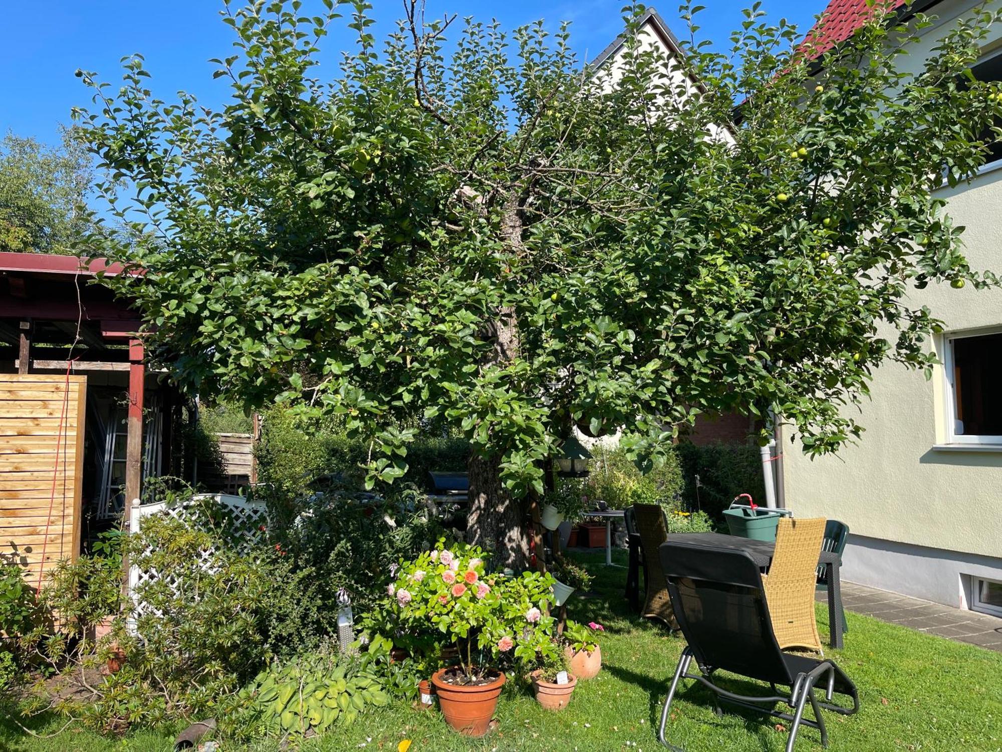 Claudias Apartment - 20 Minuten Bis Messe Nuernberg Экстерьер фото